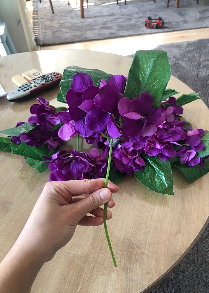 Yapay ortanca - Görsel 3