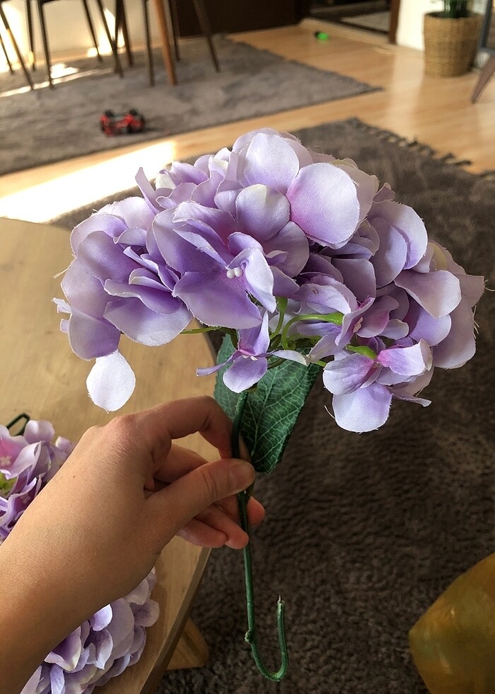 Yapay ortanca - Görsel 5