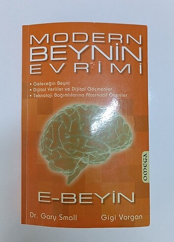 Modern beynin evrimi