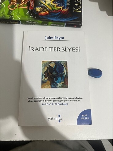 İrade terbiyesi