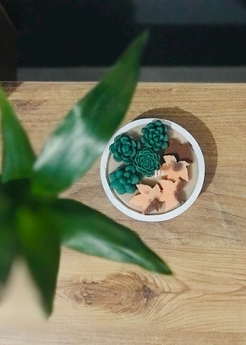 Yeşil ve Kahverengi Dekoratif Mum - Görsel 2