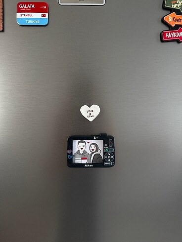 Magnet