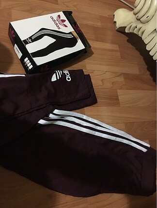 bordo tayt