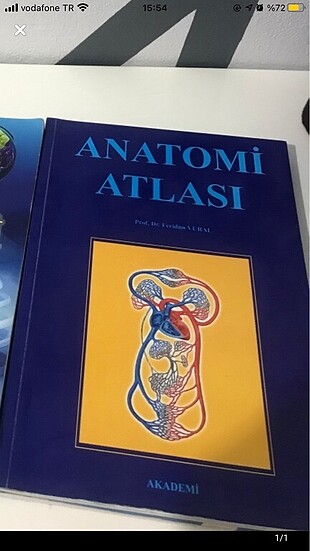 Anatomi kitabı