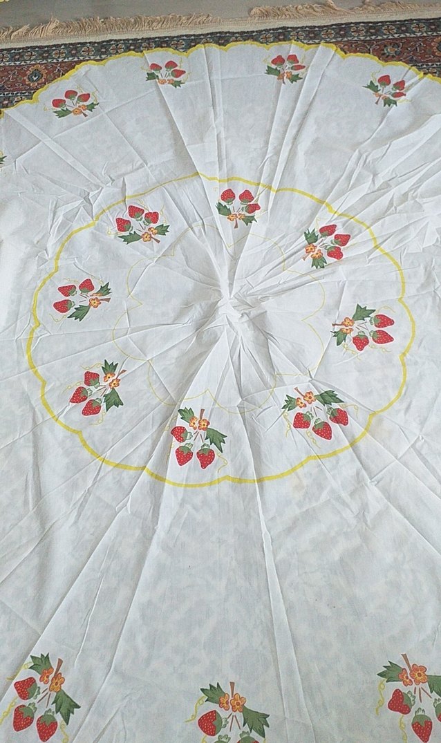 Nakışlı Beyaz Mutfak petdesi - Görsel 4