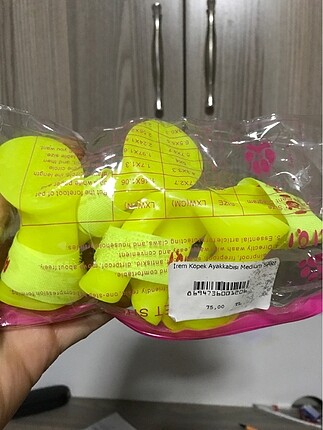 Köpek Ayakkabısı