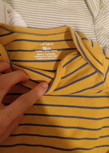 Uzun Kollu  kısa kollu karışık Bebek Body - Görsel 6