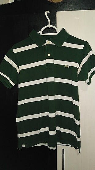 Yeşil beyaz lacoste polo yaka t-shirt