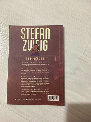 stefan zweig - amok koşucusu