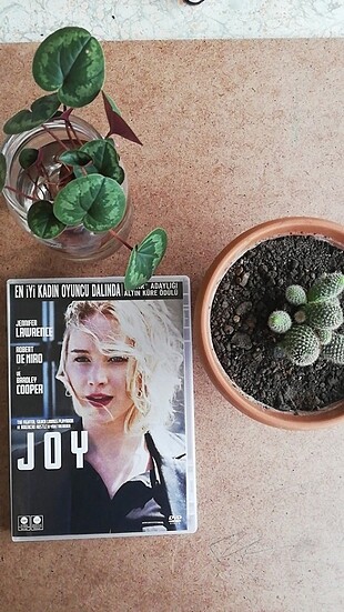 Joy DVD