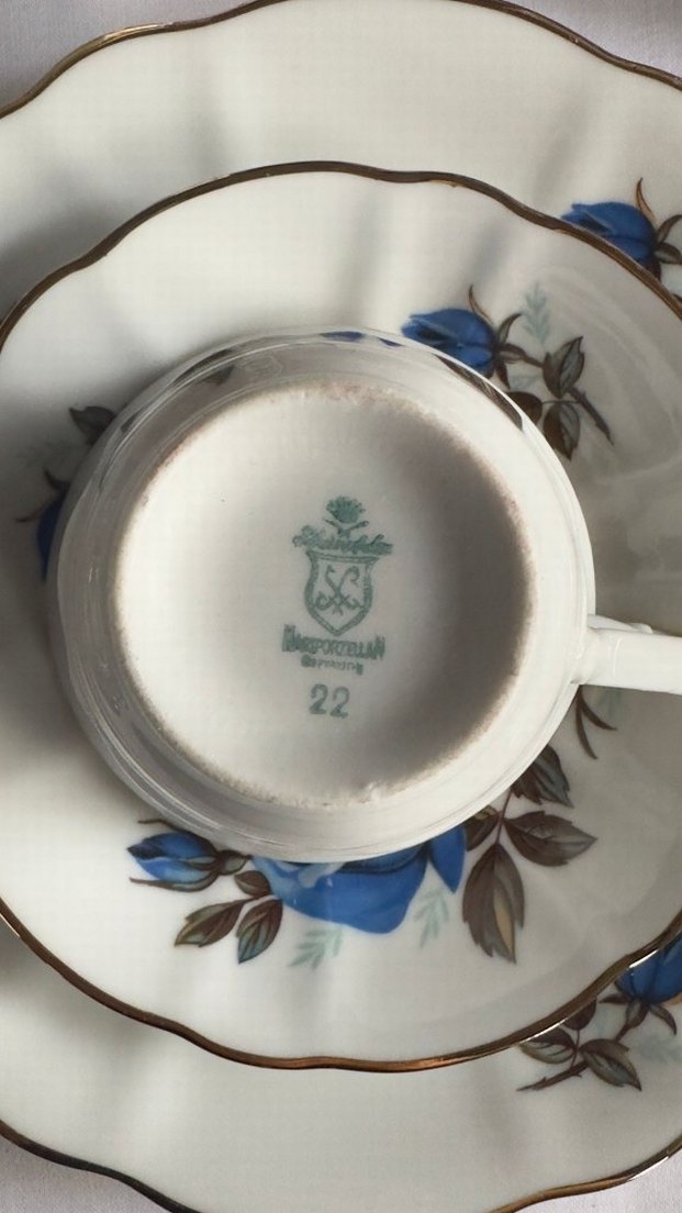 6 Parça Alman Antika Trio Gül Desenli İnce Porselen Fincan Takmı - Görsel 2