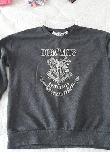 Harry potter sweat