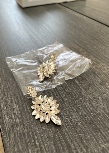 Gümüş Renkli Uzun Payetli Kadın Küpeler