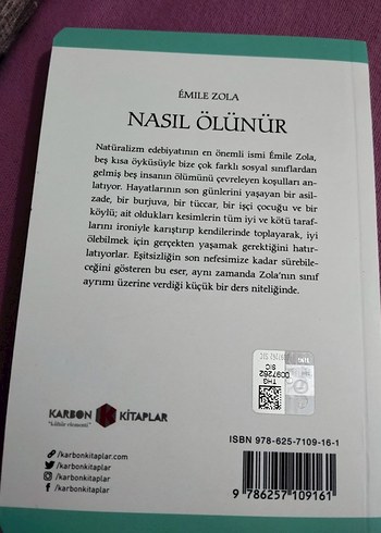 Nasıl Ölünür - Émile Zola - Görsel 2