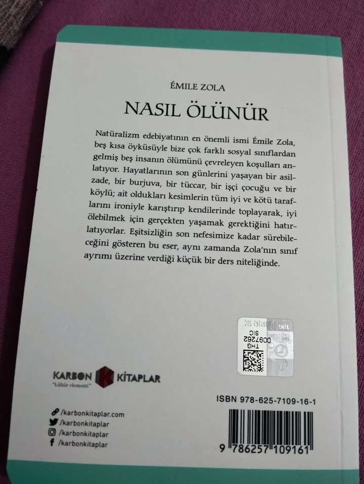 Nasıl Ölünür - Émile Zola - Görsel 2