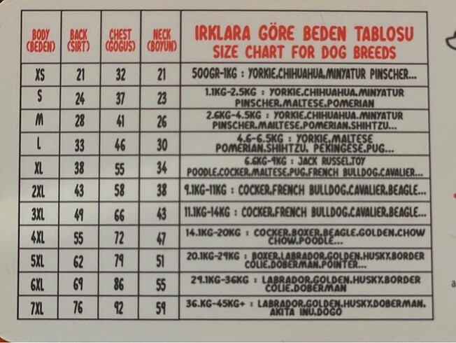  Beden Pawstar Deri Ceket
