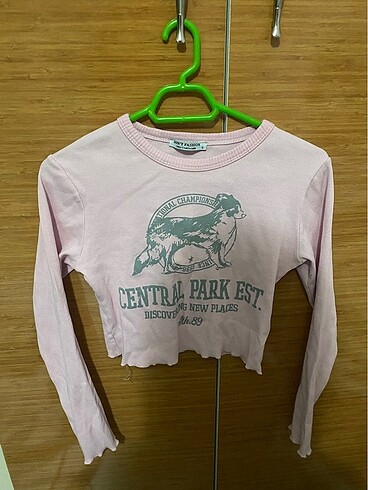 Pembe uzun kollu crop