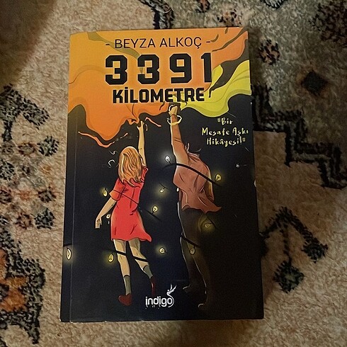 3391 kilometre kitap
