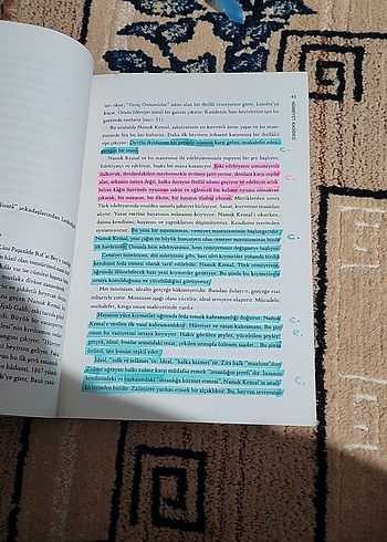 Beden Renk Şiir Tahlilleri 1 - Tanzimat'tan Cumhuriyet'e