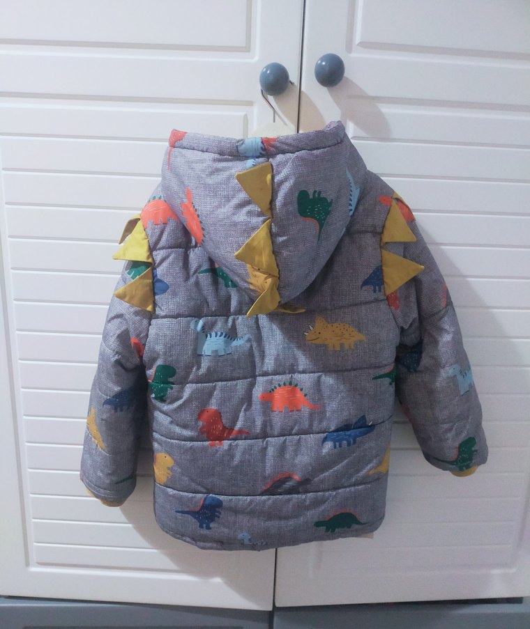 Gri Dinozor Desenli Erkek Çocuk Kapüşonlu Mont - Görsel 2