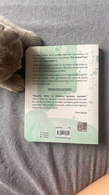 Beden mitoterapi kitabi