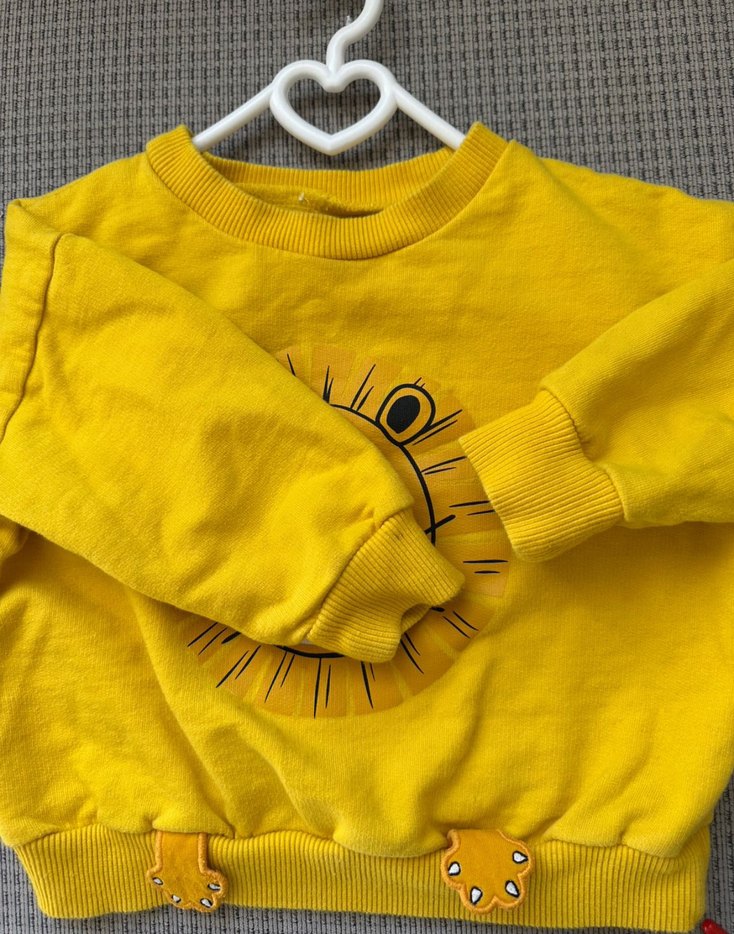 Sarı Aslan Baskılı Erkek Çocuk Sweatshirt - Görsel 3