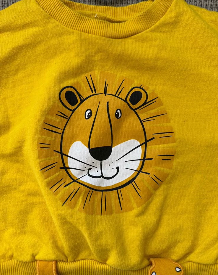 Sarı Aslan Baskılı Erkek Çocuk Sweatshirt - Görsel 2