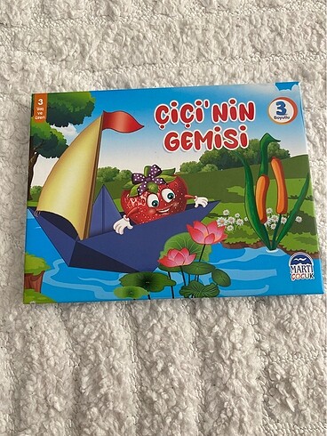Çiçinin gemisi