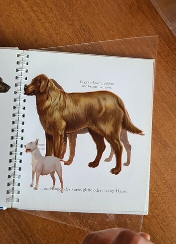  Beden Der hund köpek almanca kitap