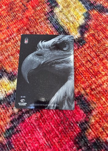 Beşiktaş Sefa Silva Rozet - Görsel 2