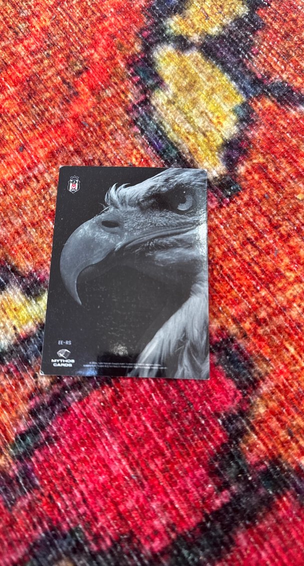 Beşiktaş Sefa Silva Rozet - Görsel 2