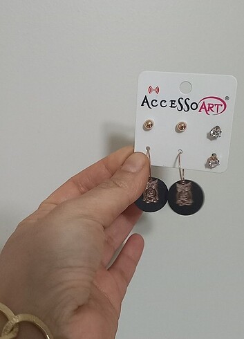 Assortie Küpe seti