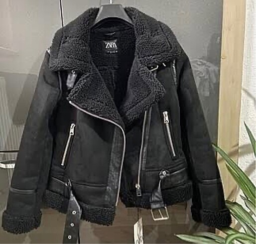 Zara biker mont