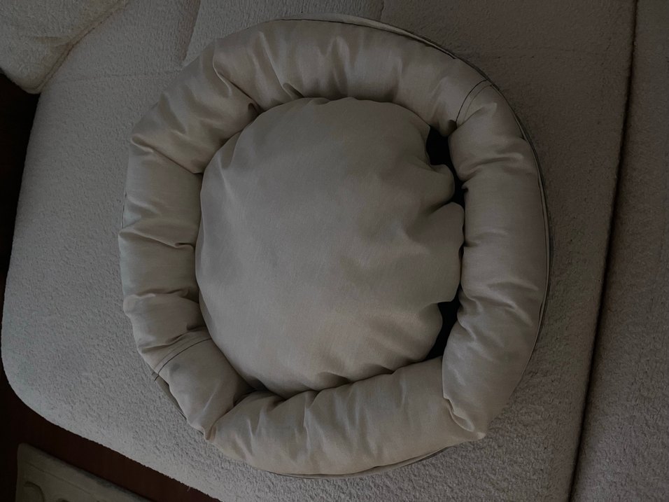 Bej Kedi yatağı - Görsel 2