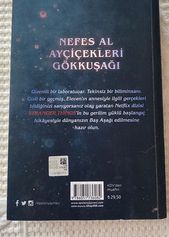 Stranger Things: Şüpheci Zihinler