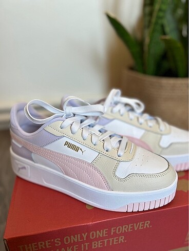 Puma carina