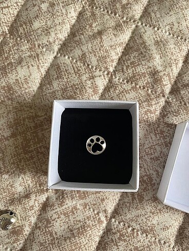 Pandora Pati Charm