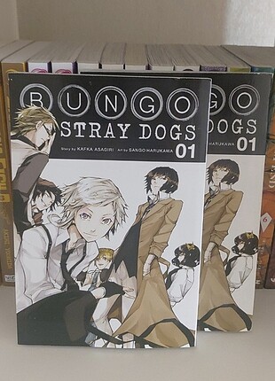 Bungo stray dogs 