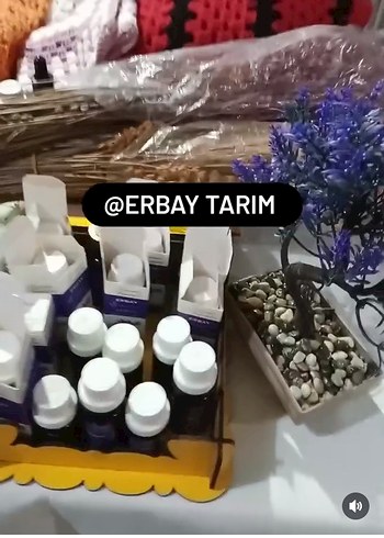 Diğer Angustifolia cinsi Lady Lavanta Uçucu Yağı 10 ml.