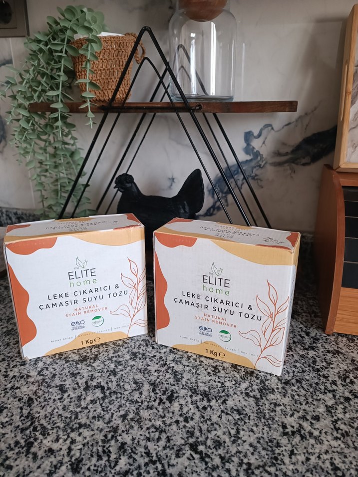 Elite Home Leke Çıkarıcı Çamaşır Suyu Tozu 1 kg - Görsel 2