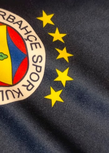 Sarı-Lacivert Fenerbahçe Erkek Forma Takımı - Görsel 3