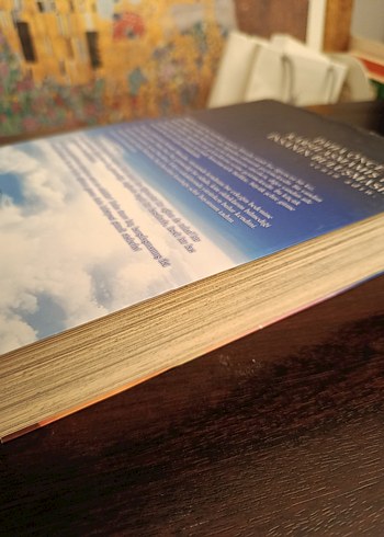 Senin Adın Manga - Görsel 2