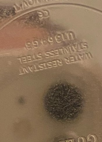 Guess orjinal etkek saati - Görsel 11