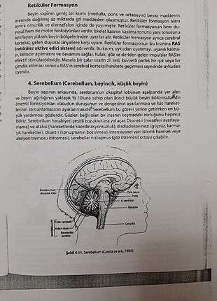  Beden Fizyolojik Psikoloji Notları 