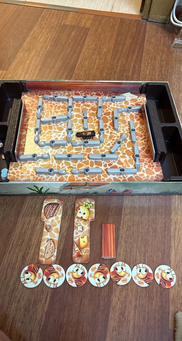 Kutu Oyunu Bay Böcek Firarda Ravensburger - Görsel 3