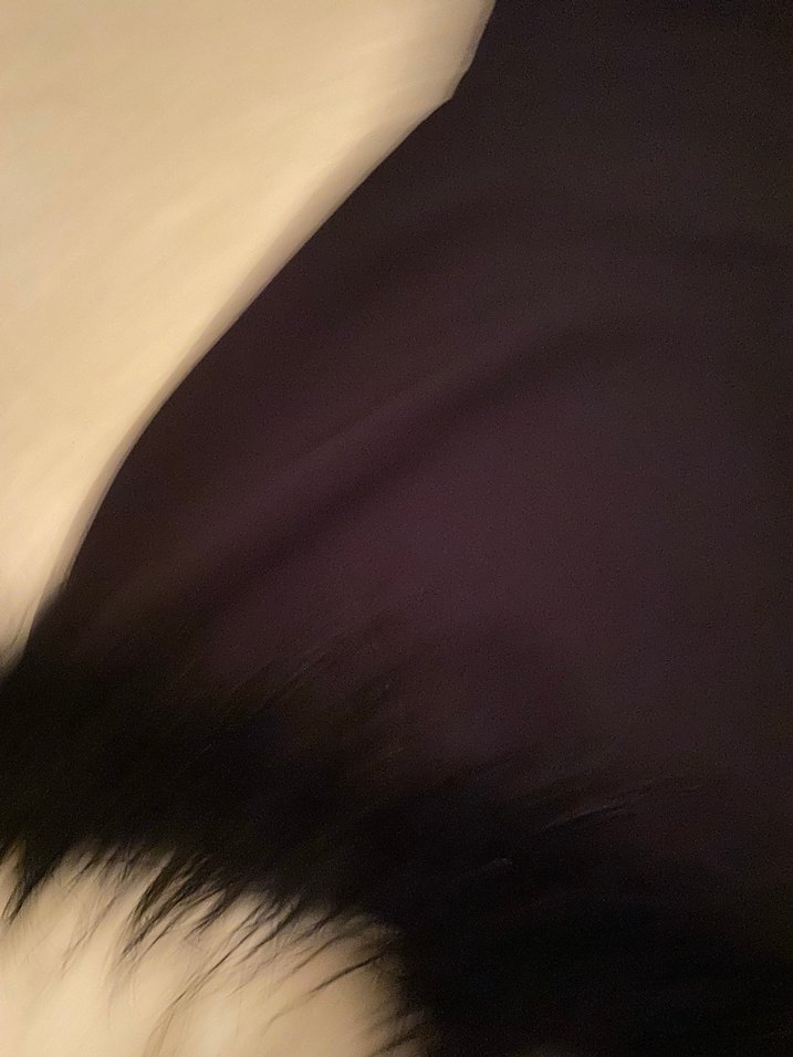 Kürklü Siyah Midi Abiye Elbise - Görsel 2