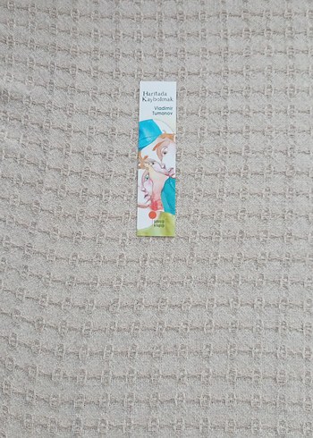 Haritada Kaybolmak - Görsel 3