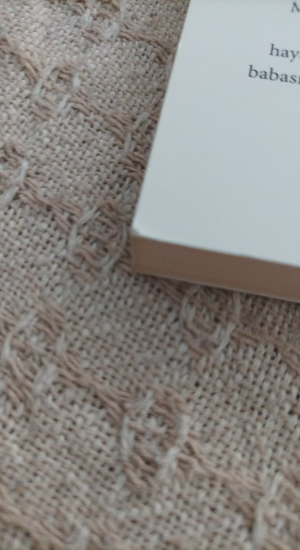 Küçük Kemancı - Görsel 3