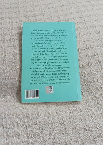 Bambi -Felix Salten - Görsel 2