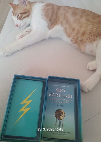 Beden Şifa Kartları - Hayvanlar Aracılığıyla Gücü Keşfetmek